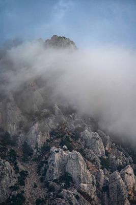 Прикрепленное изображение: IMG_4763м.jpg